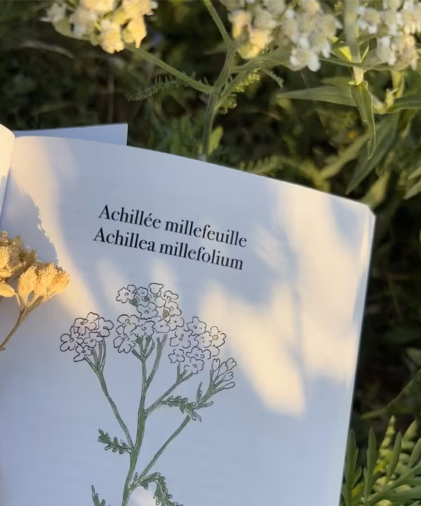 le jardin des maux de françois roger de loraille