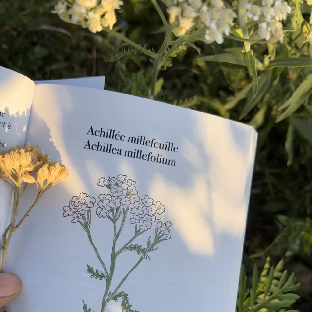 le jardin des maux de françois roger de loraille