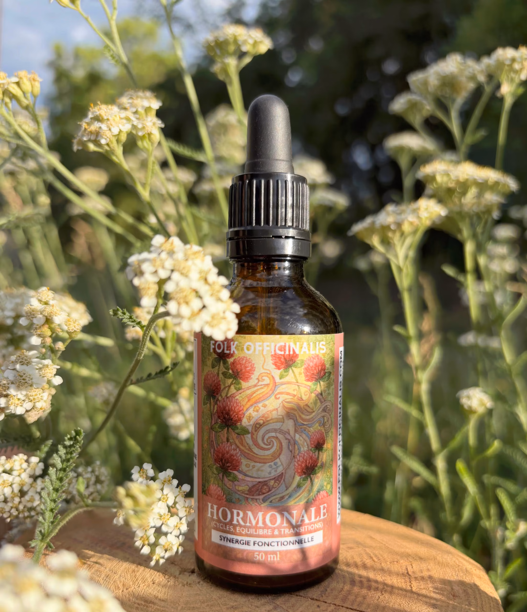 Synergie fonctionnelle hormonale pour folk officinalis par François Roger de Loraille