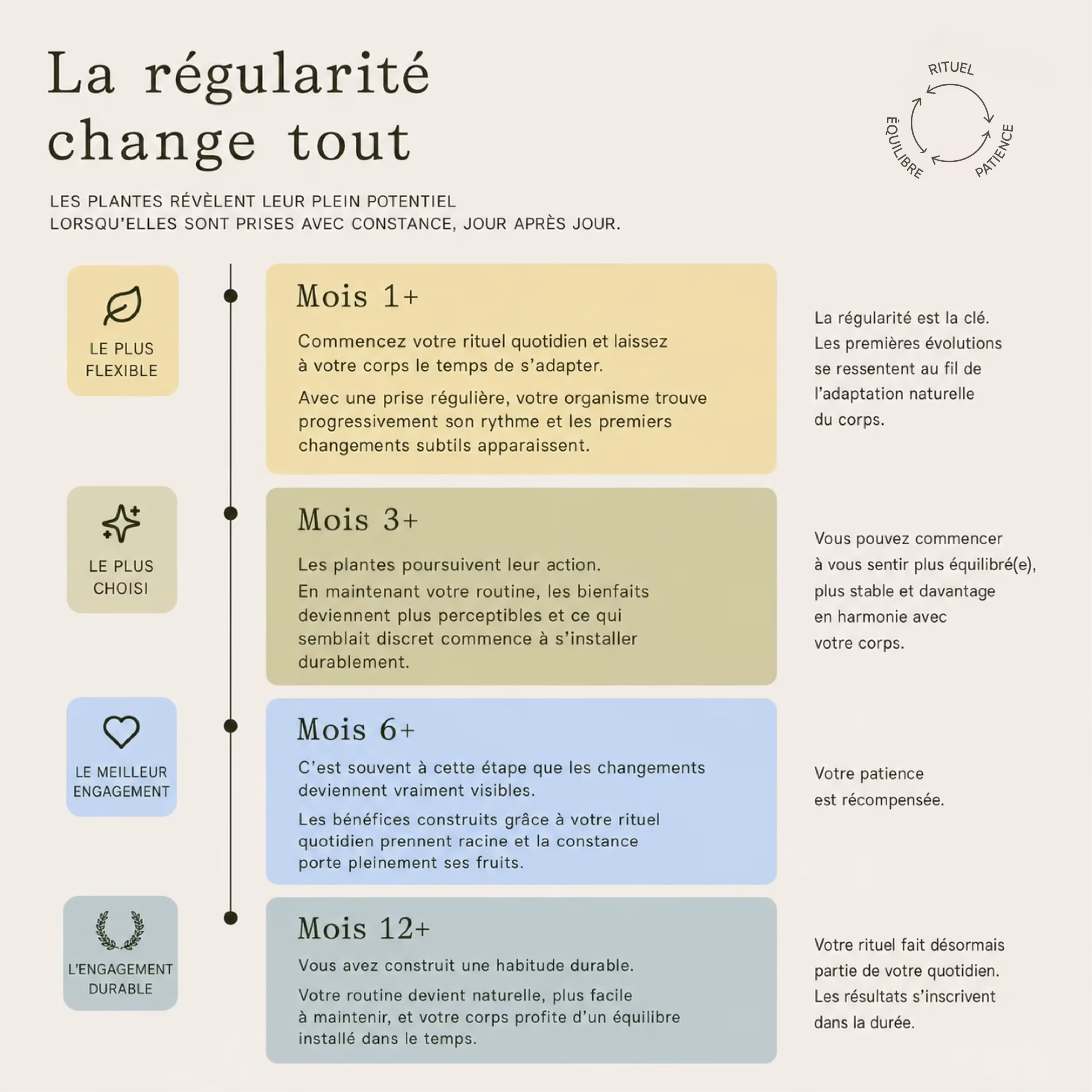 Synergie Bucco-dentaire – Image 3