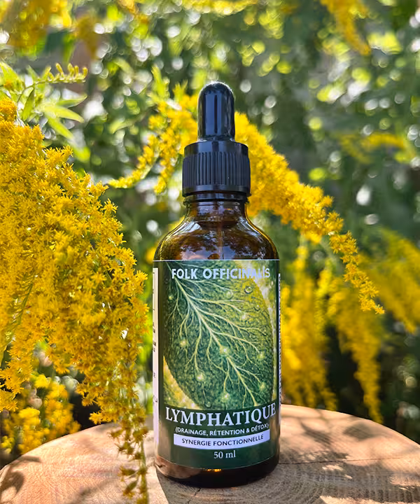 synergie lymphatique
