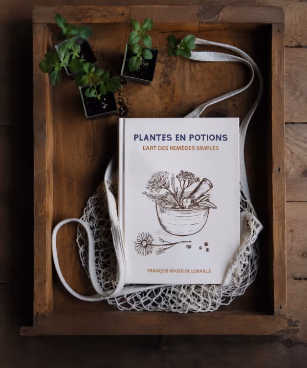 Plantes en Potions